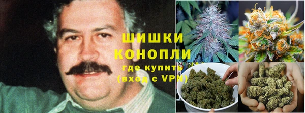 прущие крисы Балабаново