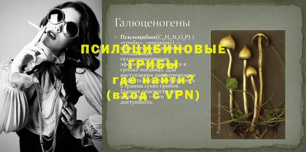 ПСИЛОЦИБИНОВЫЕ ГРИБЫ Ступино